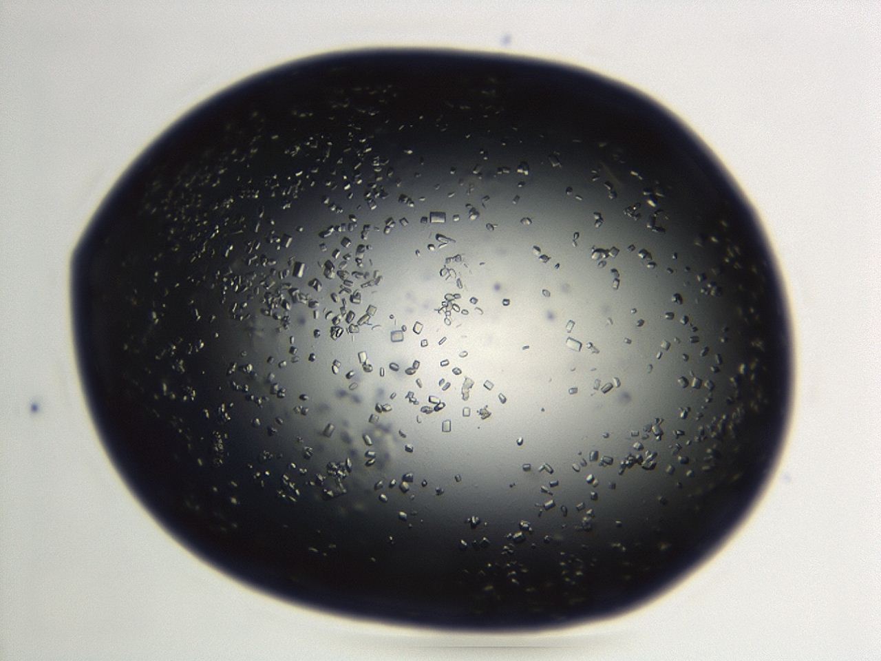 04en_F3_ImagerDefaults_9.jpg