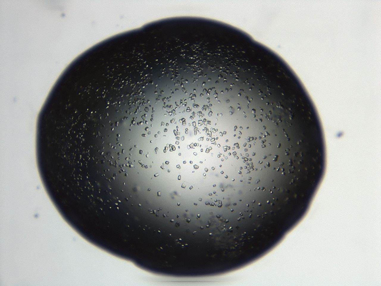04en_F4_ImagerDefaults_9.jpg