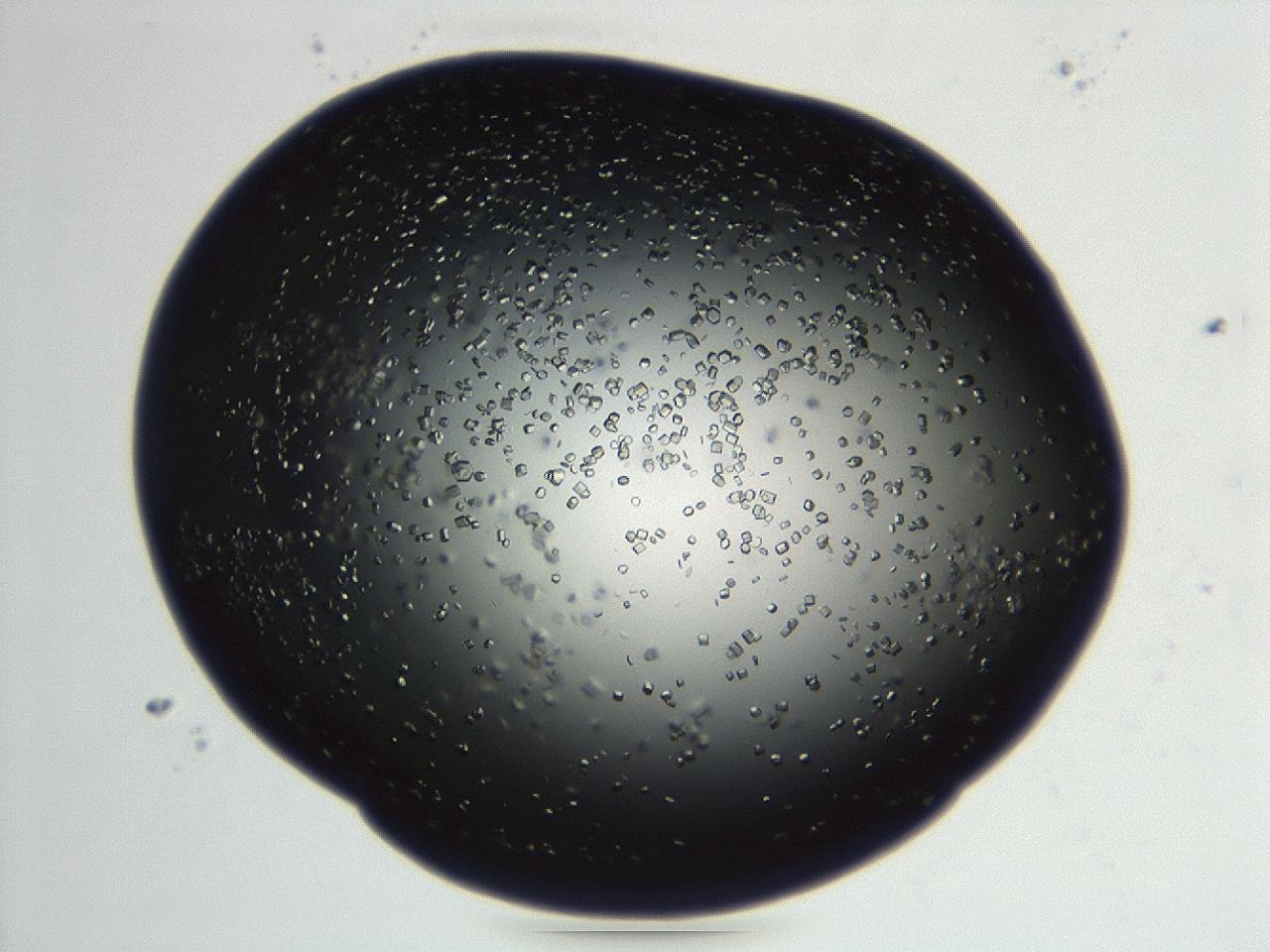 04en_F5_ImagerDefaults_9.jpg