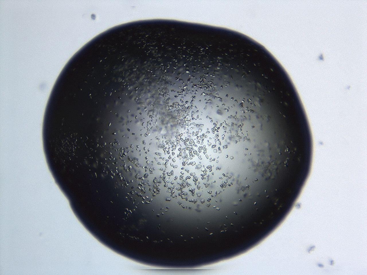 04en_F6_ImagerDefaults_9.jpg