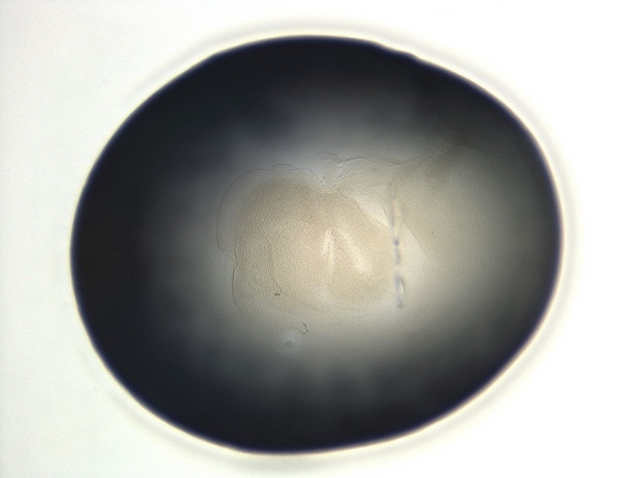 04en_F7_ImagerDefaults_3.jpg