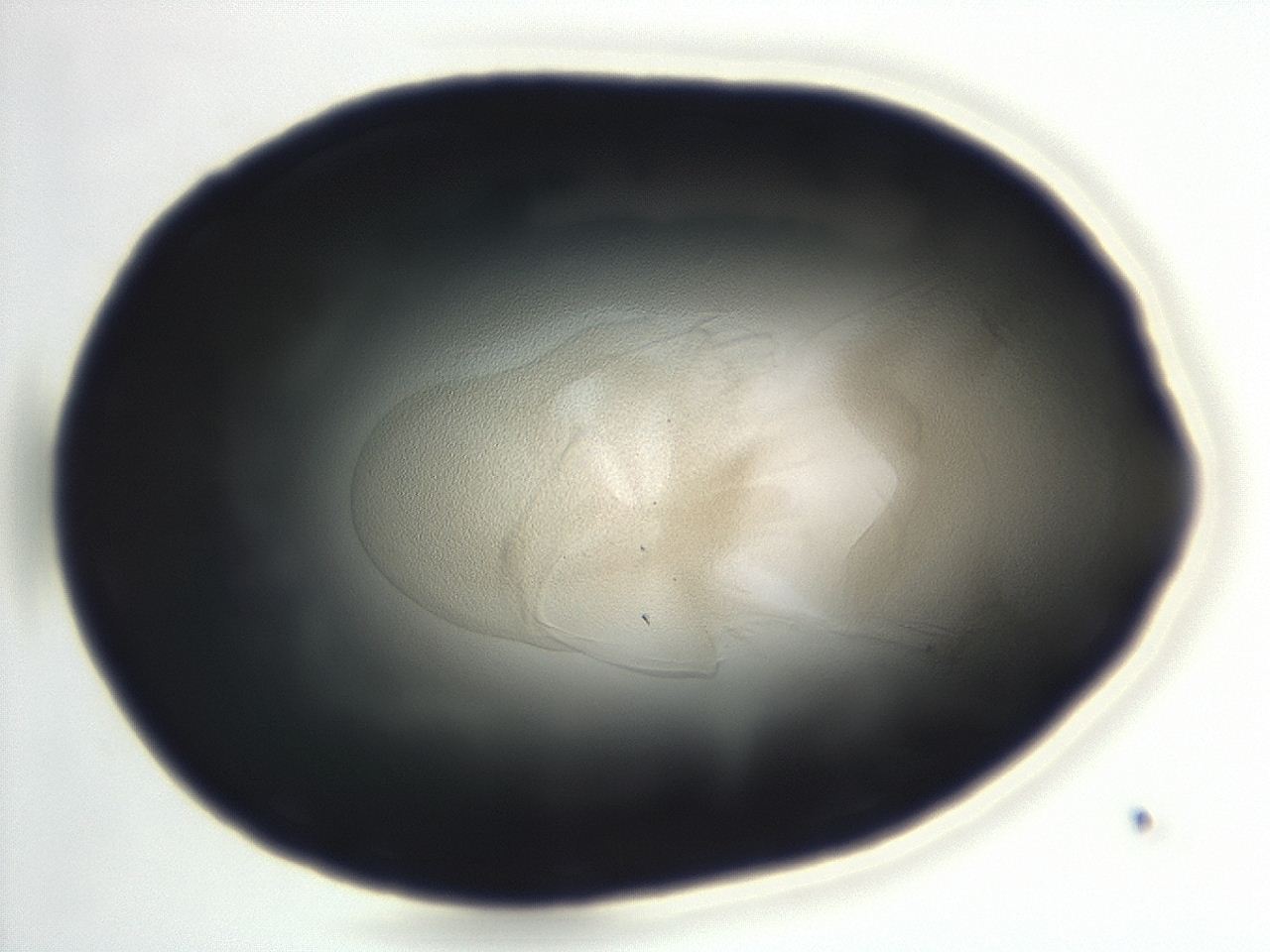 04en_F8_ImagerDefaults_3.jpg