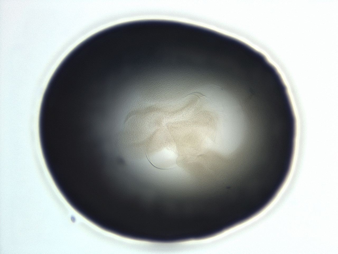04en_F10_ImagerDefaults_3.jpg