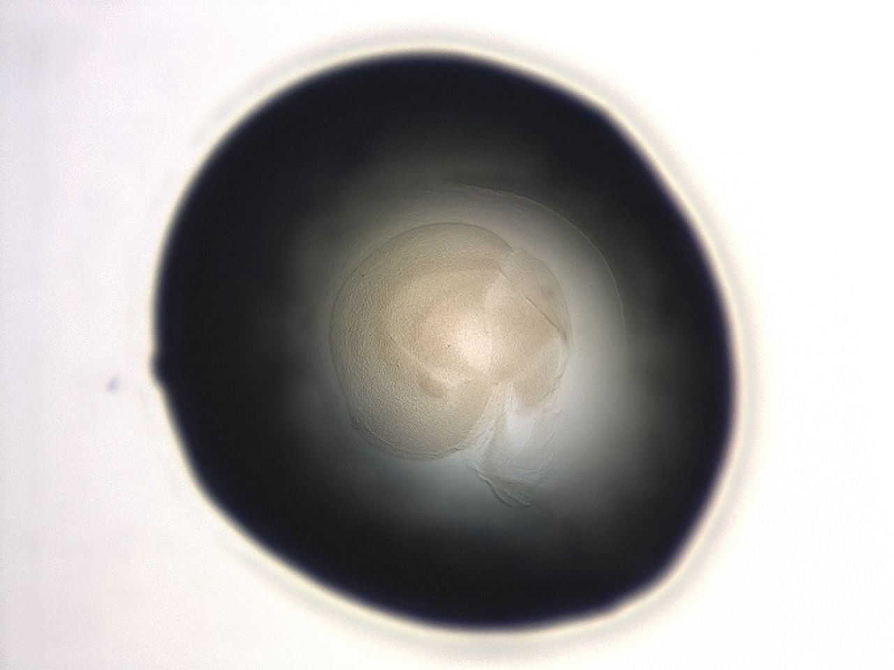 04en_F11_ImagerDefaults_3.jpg