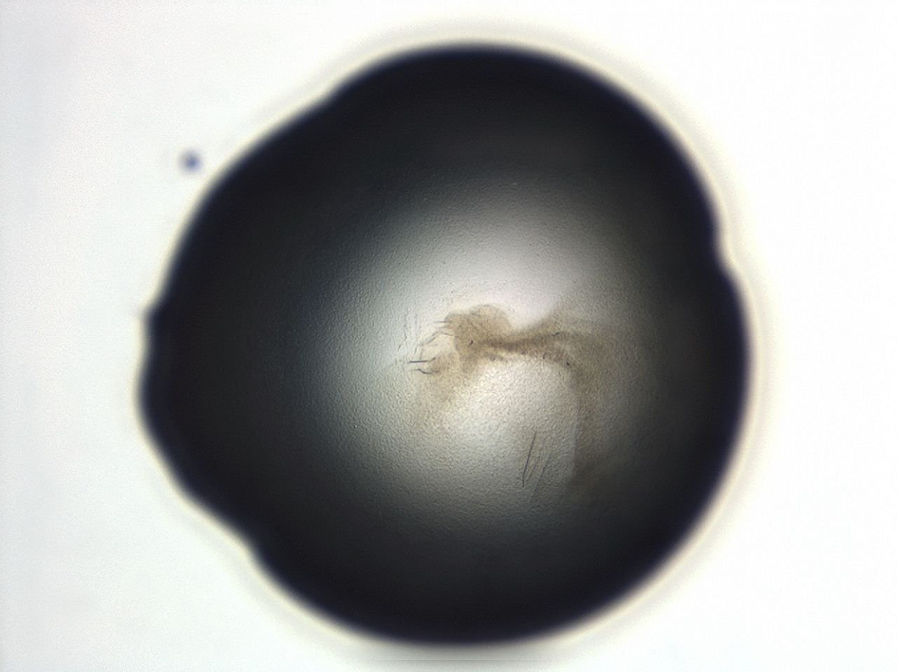04en_F12_ImagerDefaults_3.jpg