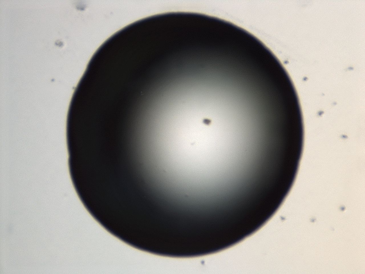 04en_G4_ImagerDefaults_0.jpg