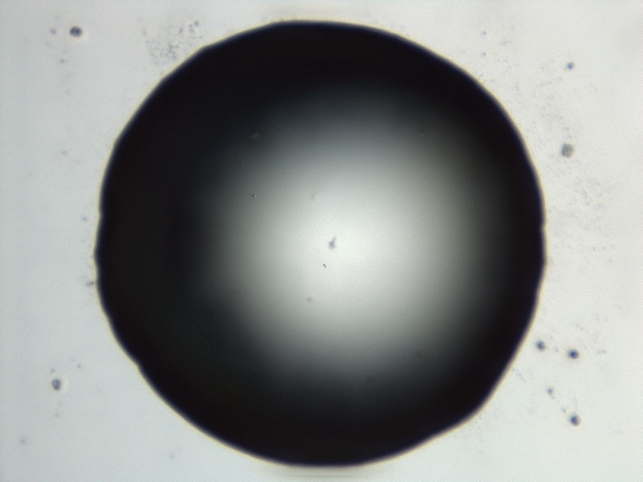 04en_G5_ImagerDefaults_0.jpg