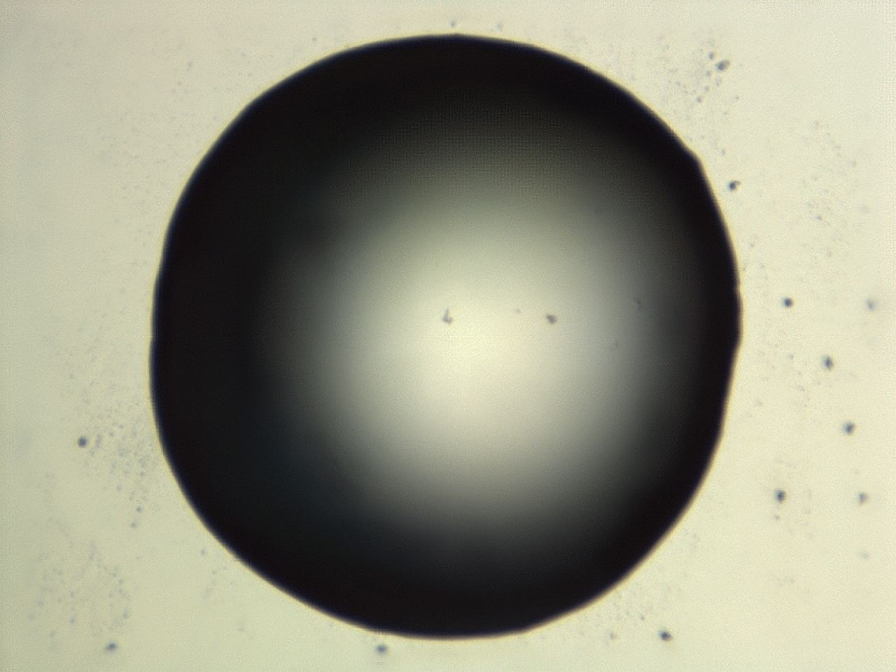 04en_G6_ImagerDefaults_0.jpg