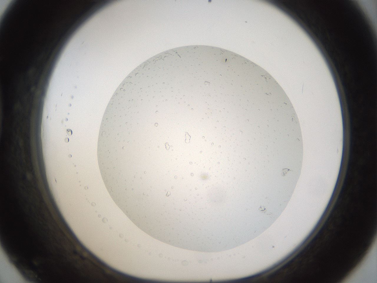 folderID967_plateID1967_batchID8611_wellNum45_profileID1_d1_r133230_ef.jpg