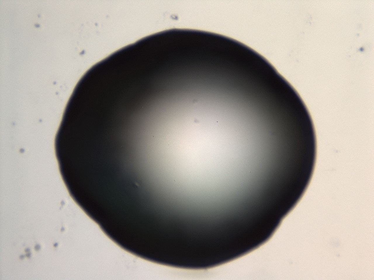 04en_G8_ImagerDefaults_0.jpg