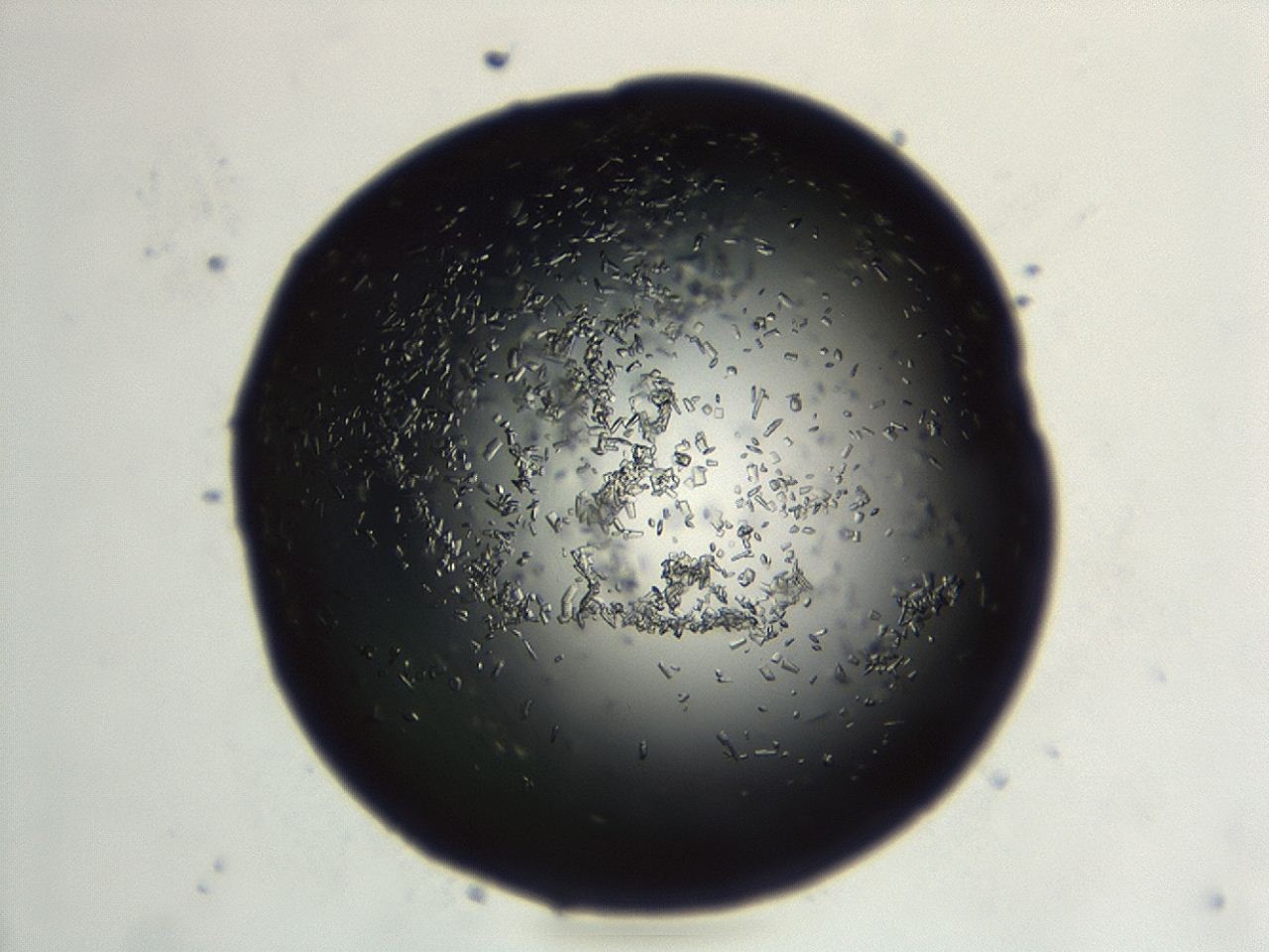 04en_G9_ImagerDefaults_9.jpg