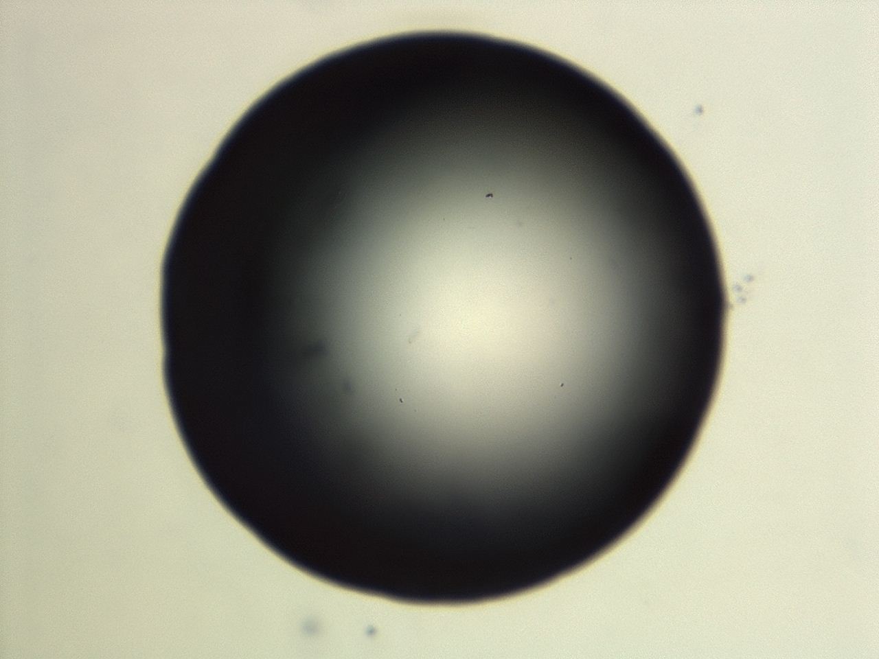 04en_G10_ImagerDefaults_0.jpg