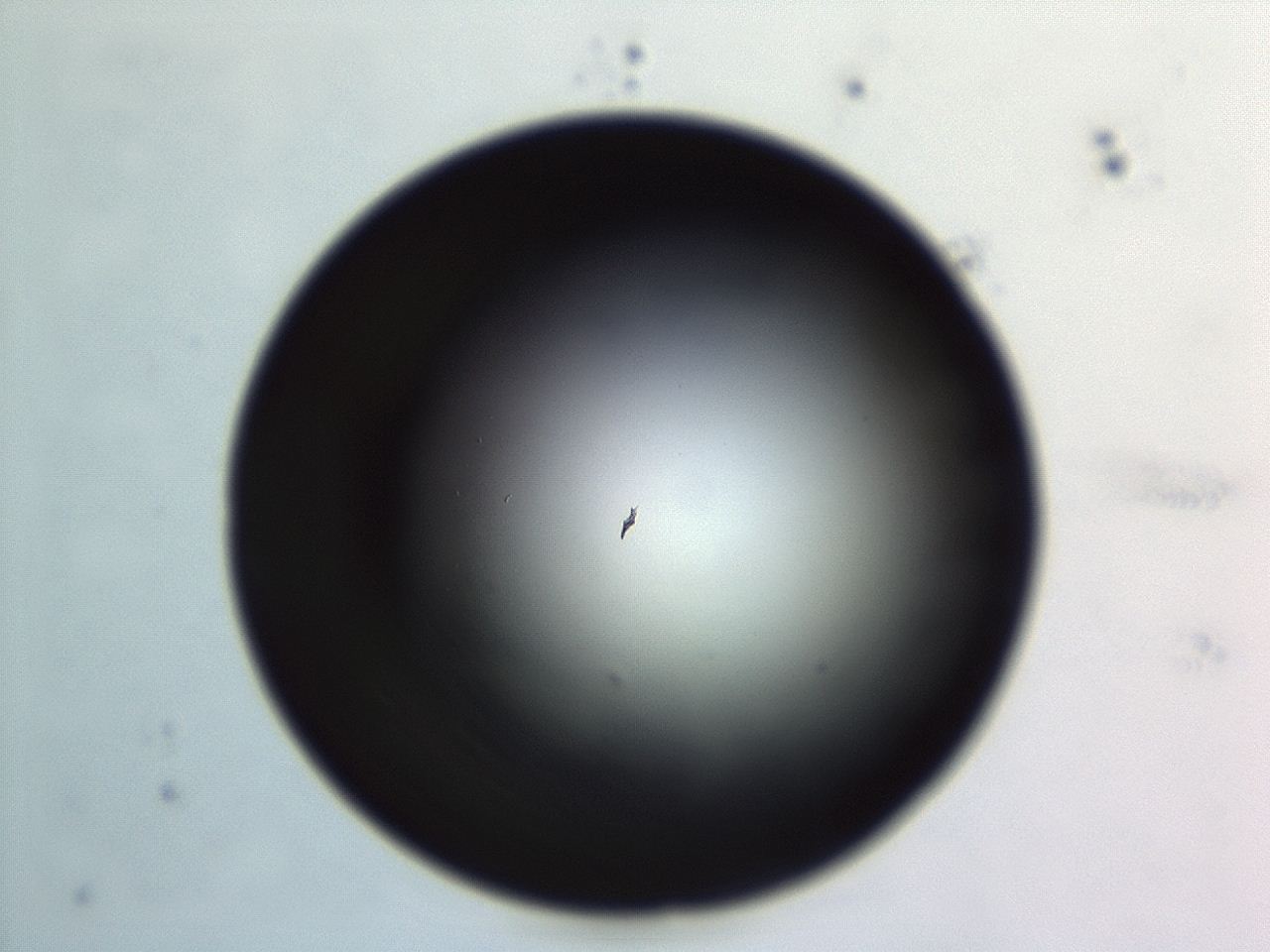 04en_G11_ImagerDefaults_0.jpg