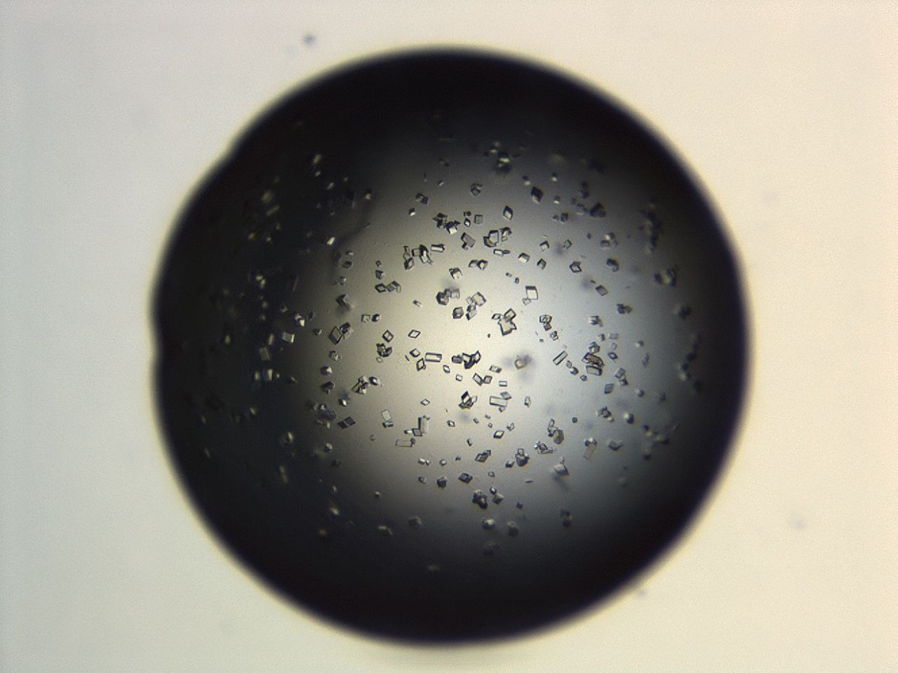04en_G12_ImagerDefaults_9.jpg