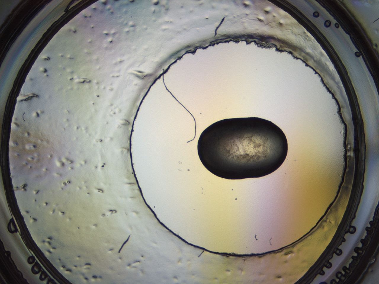 04en_H2_ImagerDefaults_3.jpg