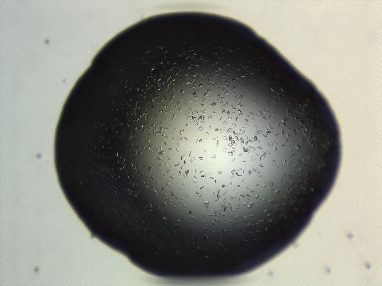 04en_H3_ImagerDefaults_9.jpg