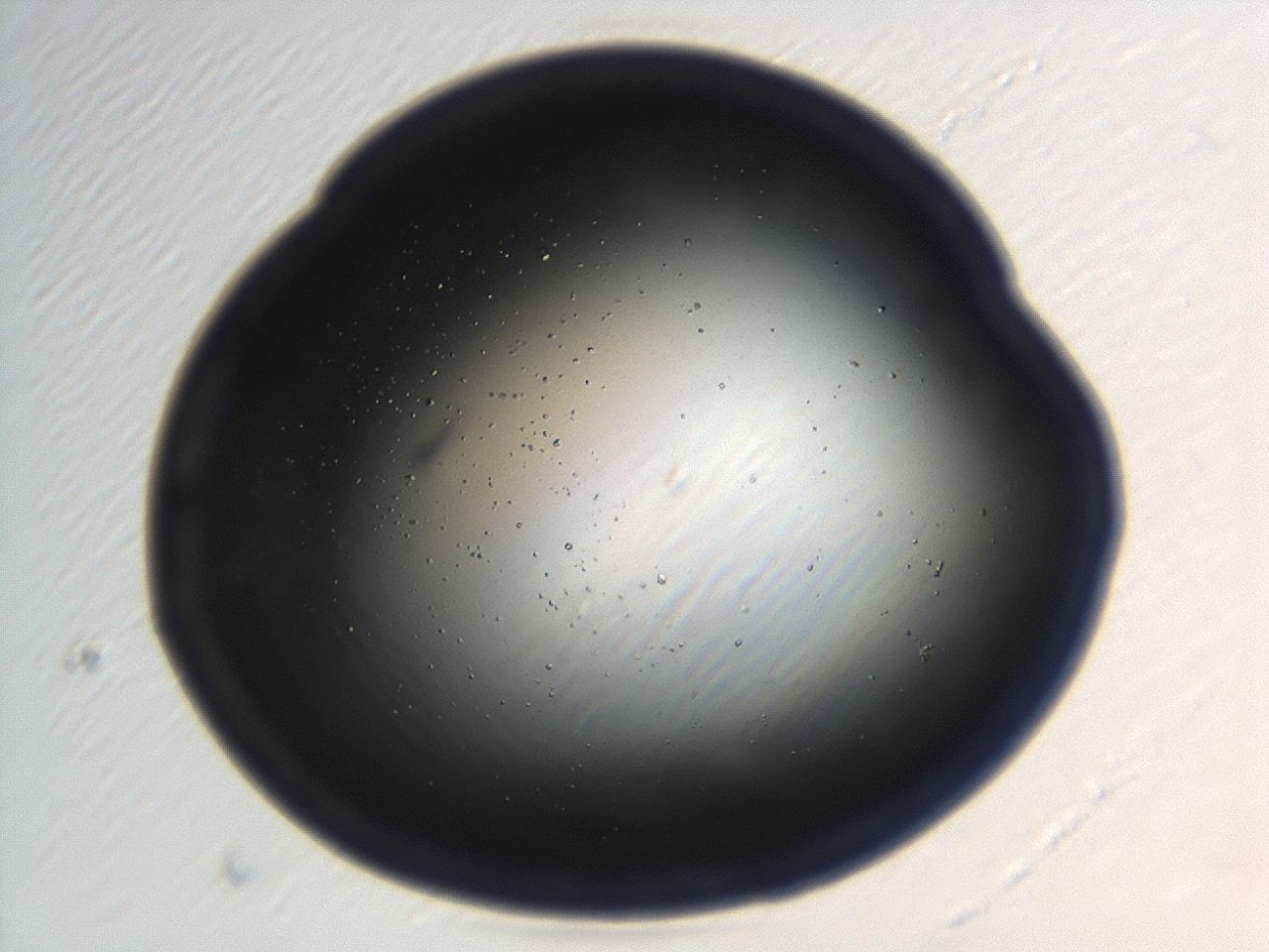 04en_H4_ImagerDefaults_6.jpg