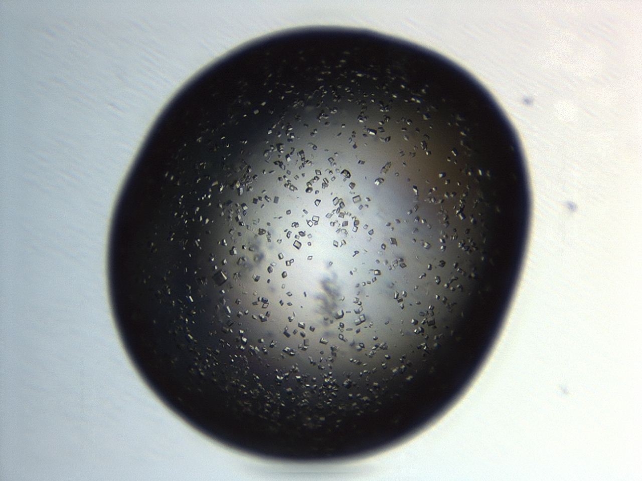 04en_H5_ImagerDefaults_9.jpg