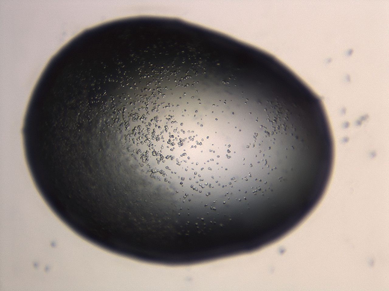 04en_H6_ImagerDefaults_9.jpg
