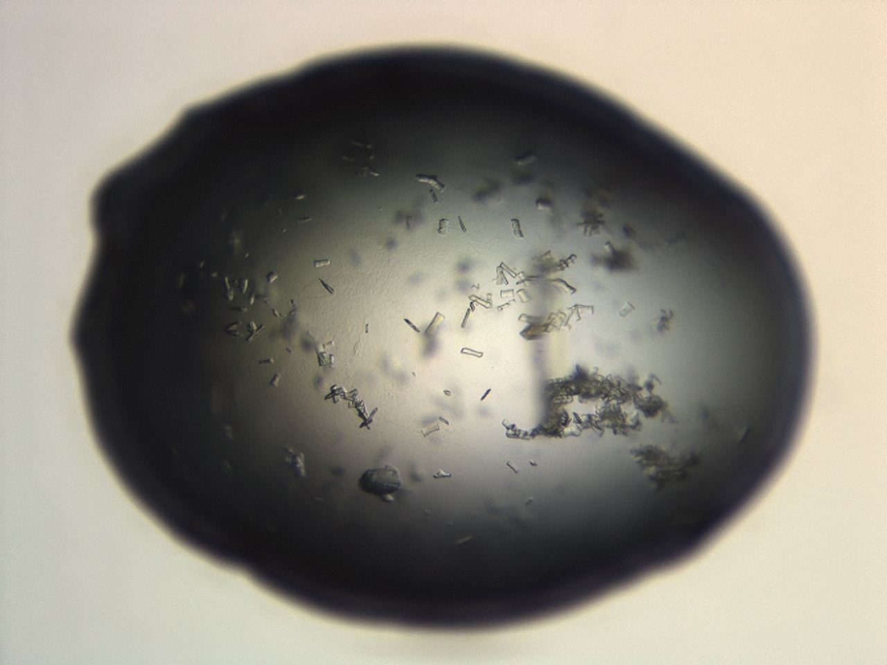 04en_H7_ImagerDefaults_9.jpg