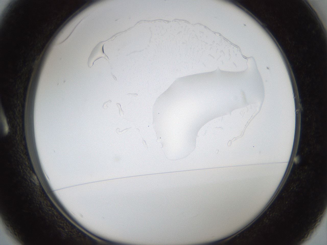 folderID969_plateID1969_batchID8598_wellNum1_profileID1_d1_r130838_ef.jpg