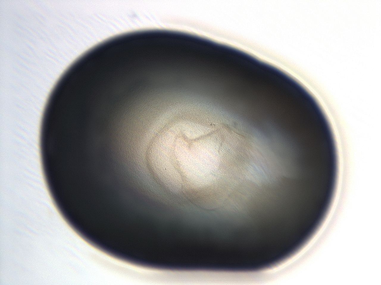 04en_H9_ImagerDefaults_3.jpg