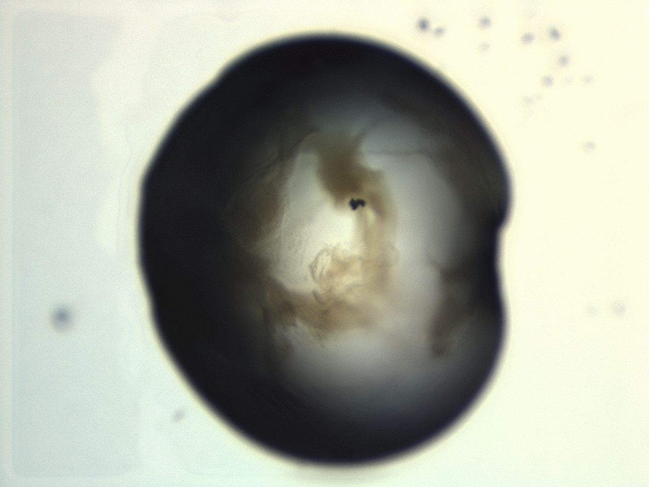 04en_H11_ImagerDefaults_3.jpg