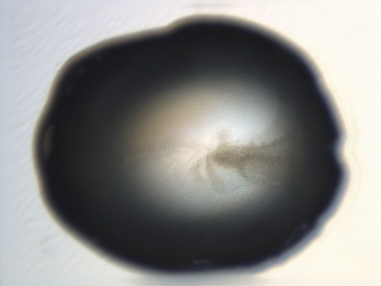04en_H12_ImagerDefaults_3.jpg