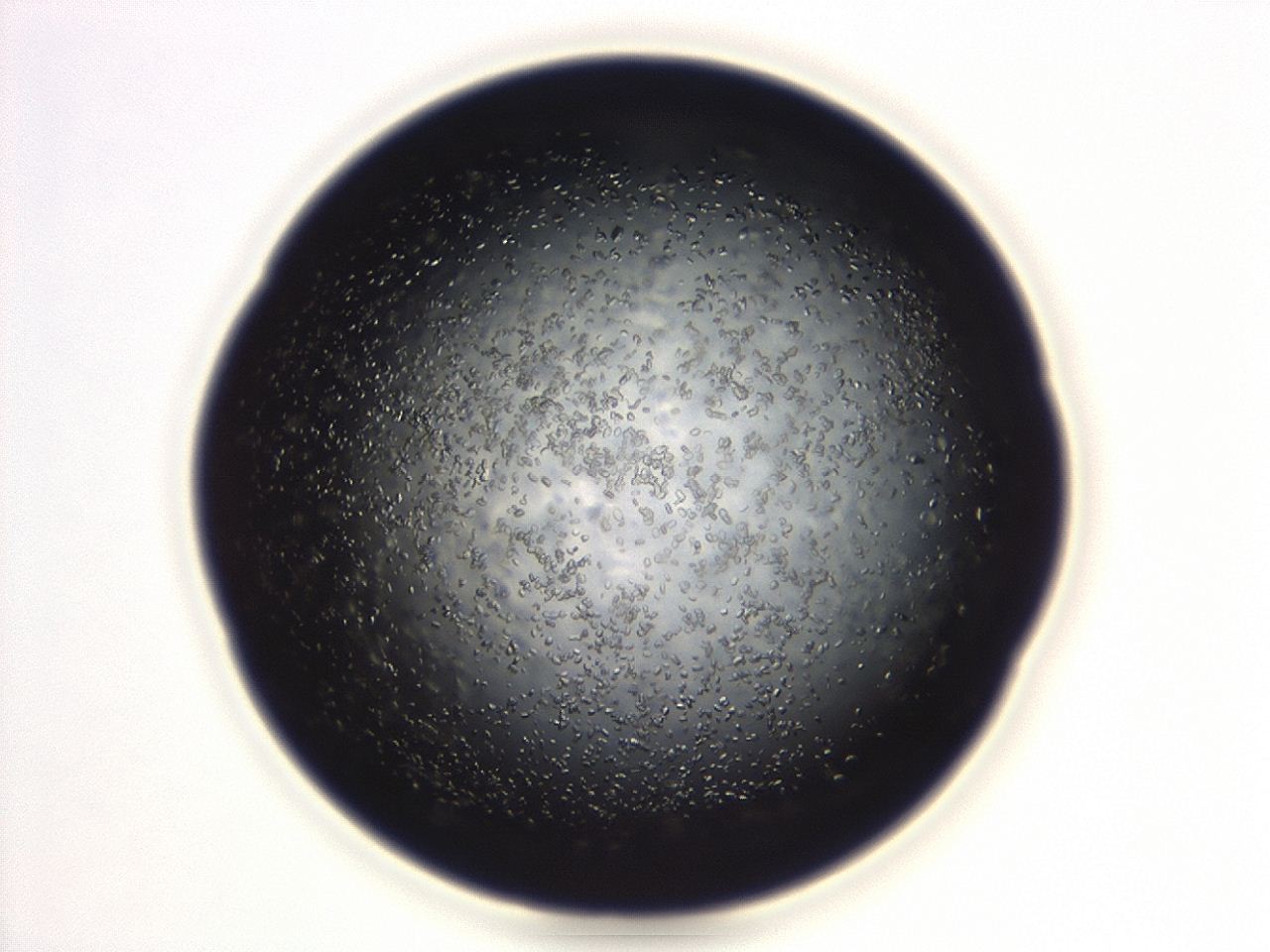 04eo_B10_ImagerDefaults_8.jpg