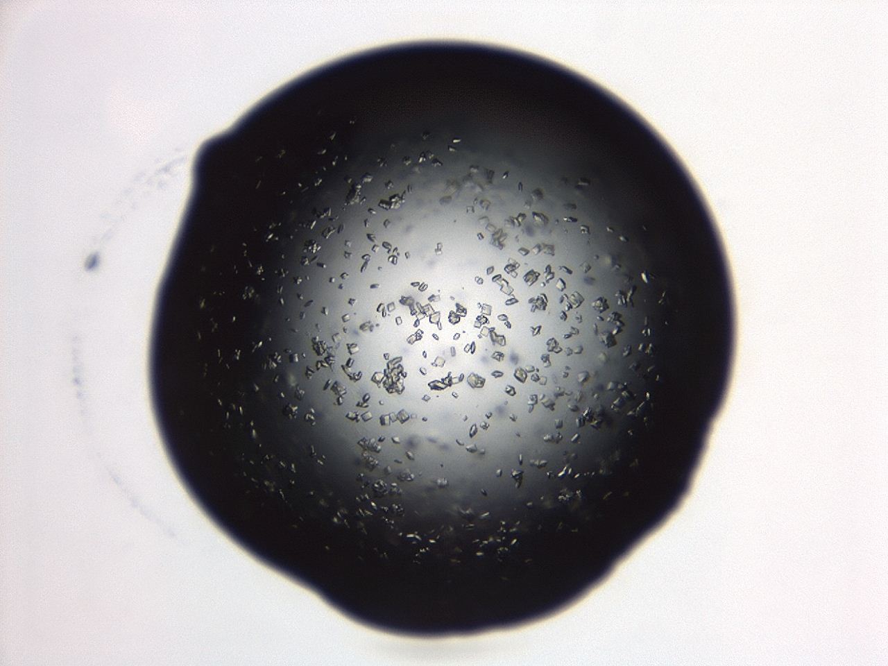 04eo_B12_ImagerDefaults_8.jpg