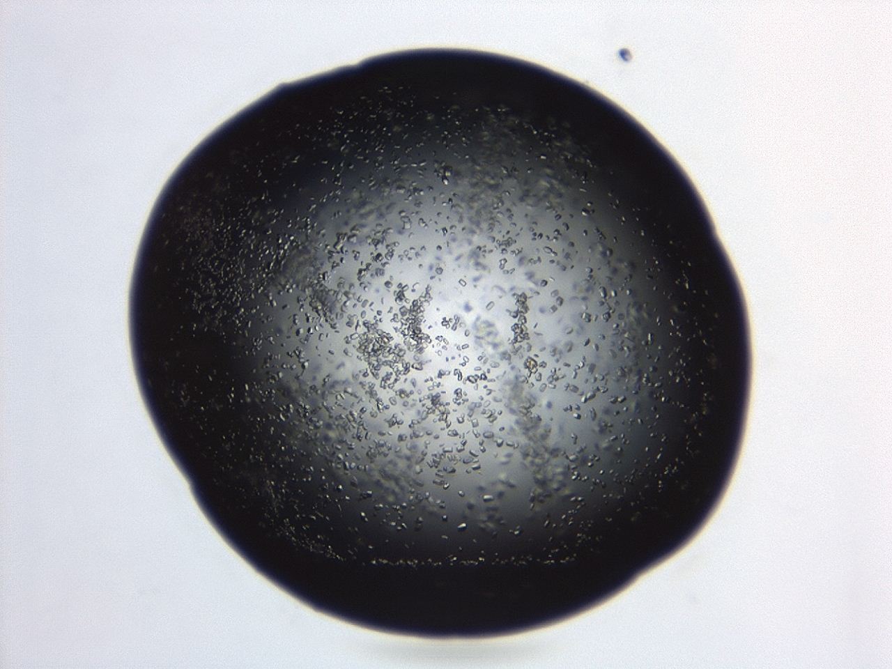 04eo_B11_ImagerDefaults_8.jpg