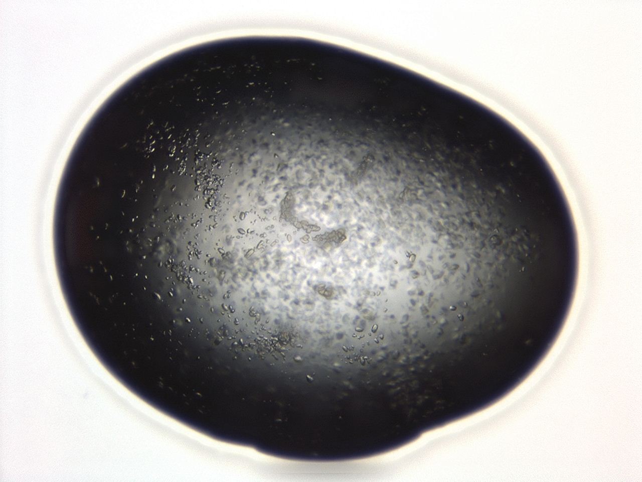 04eo_A8_ImagerDefaults_8.jpg