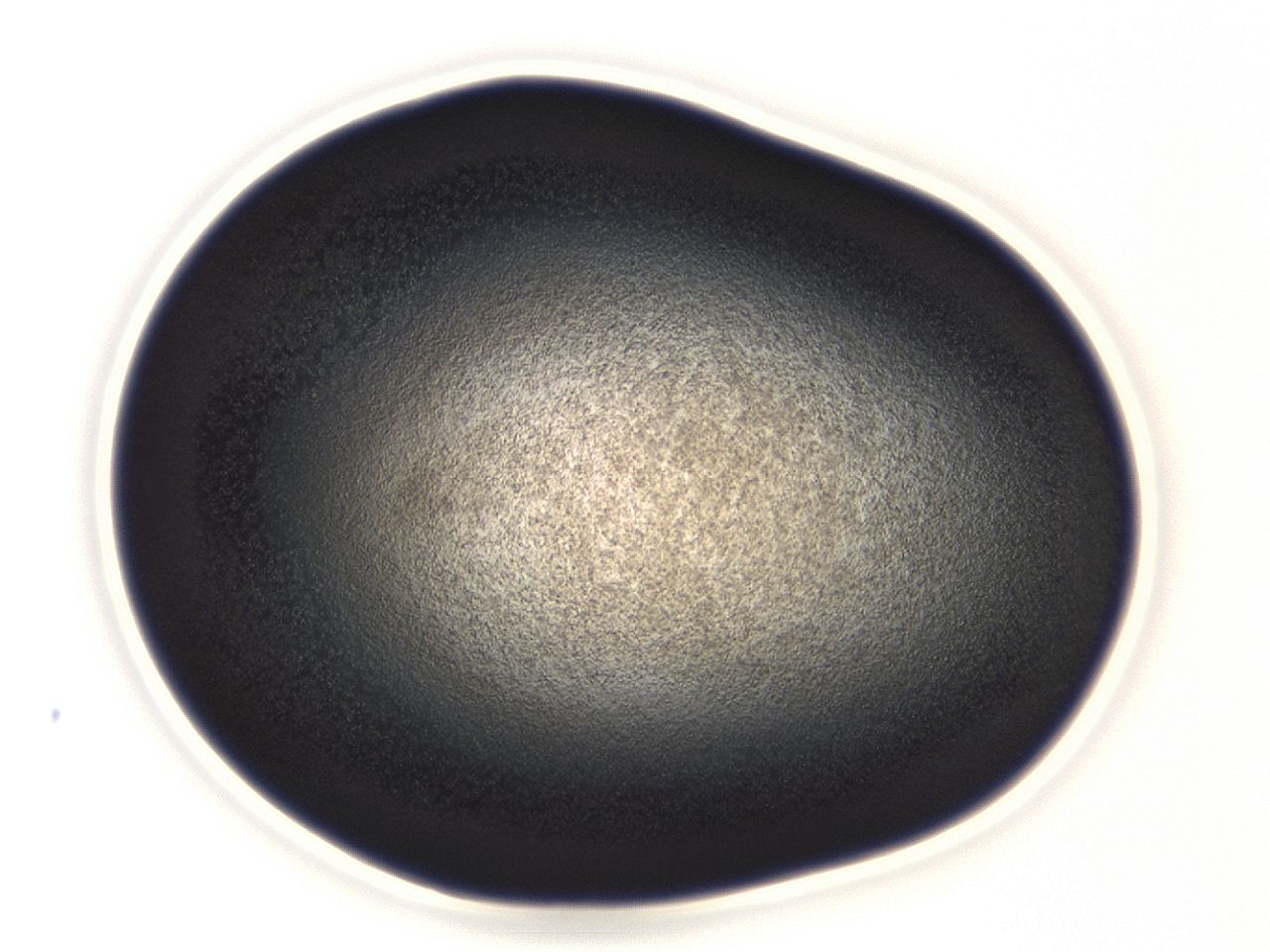 04eo_A9_ImagerDefaults_3.jpg