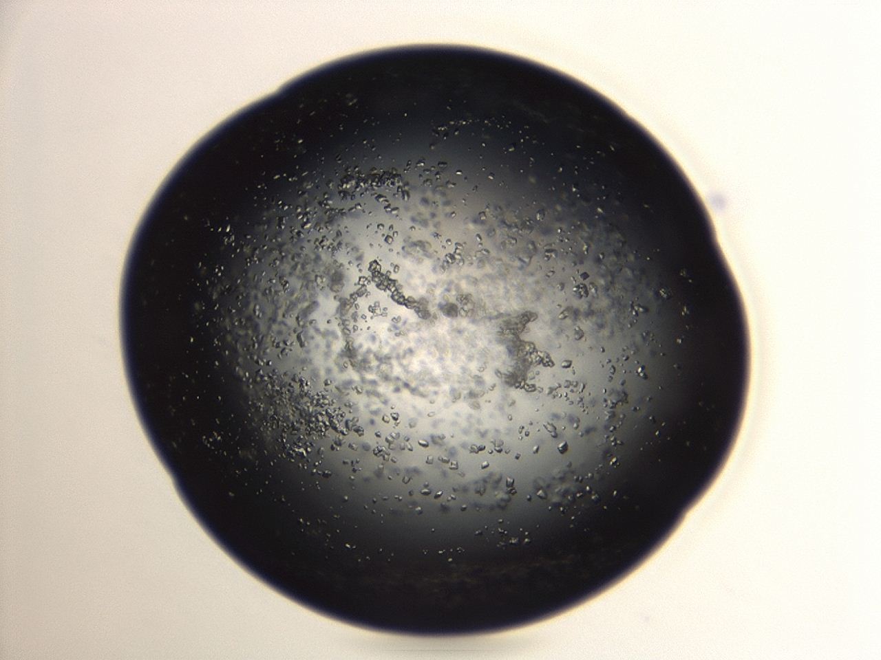 04eo_A11_ImagerDefaults_8.jpg