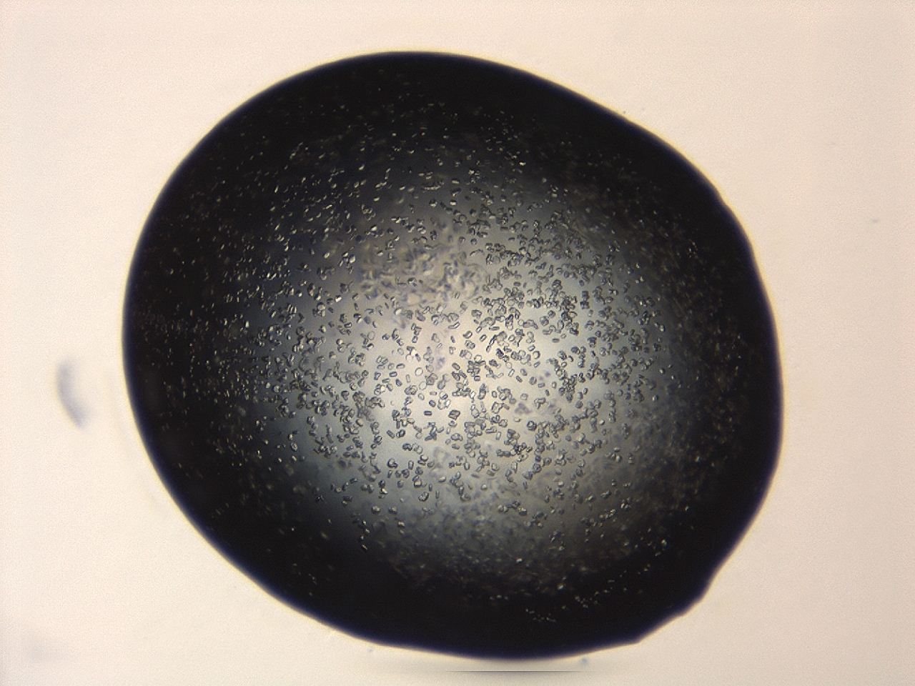 04eo_A2_ImagerDefaults_8.jpg