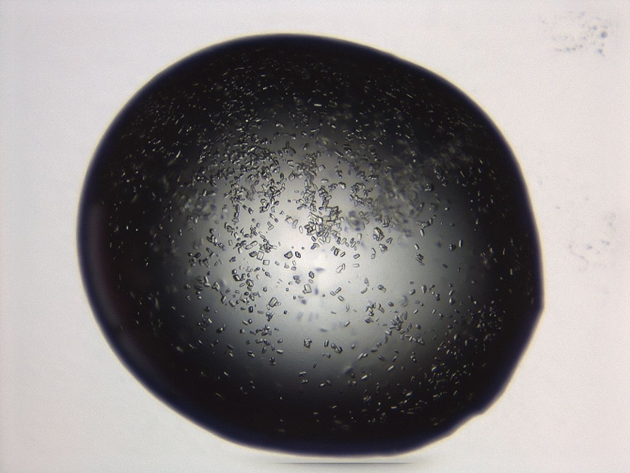 04eo_A3_ImagerDefaults_8.jpg