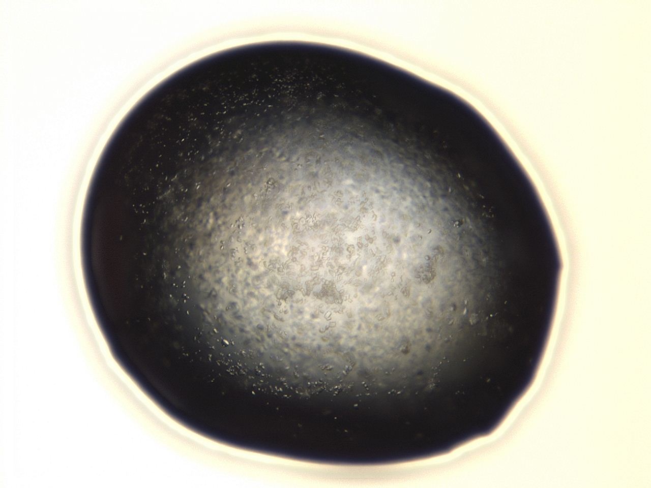 04eo_A5_ImagerDefaults_8.jpg