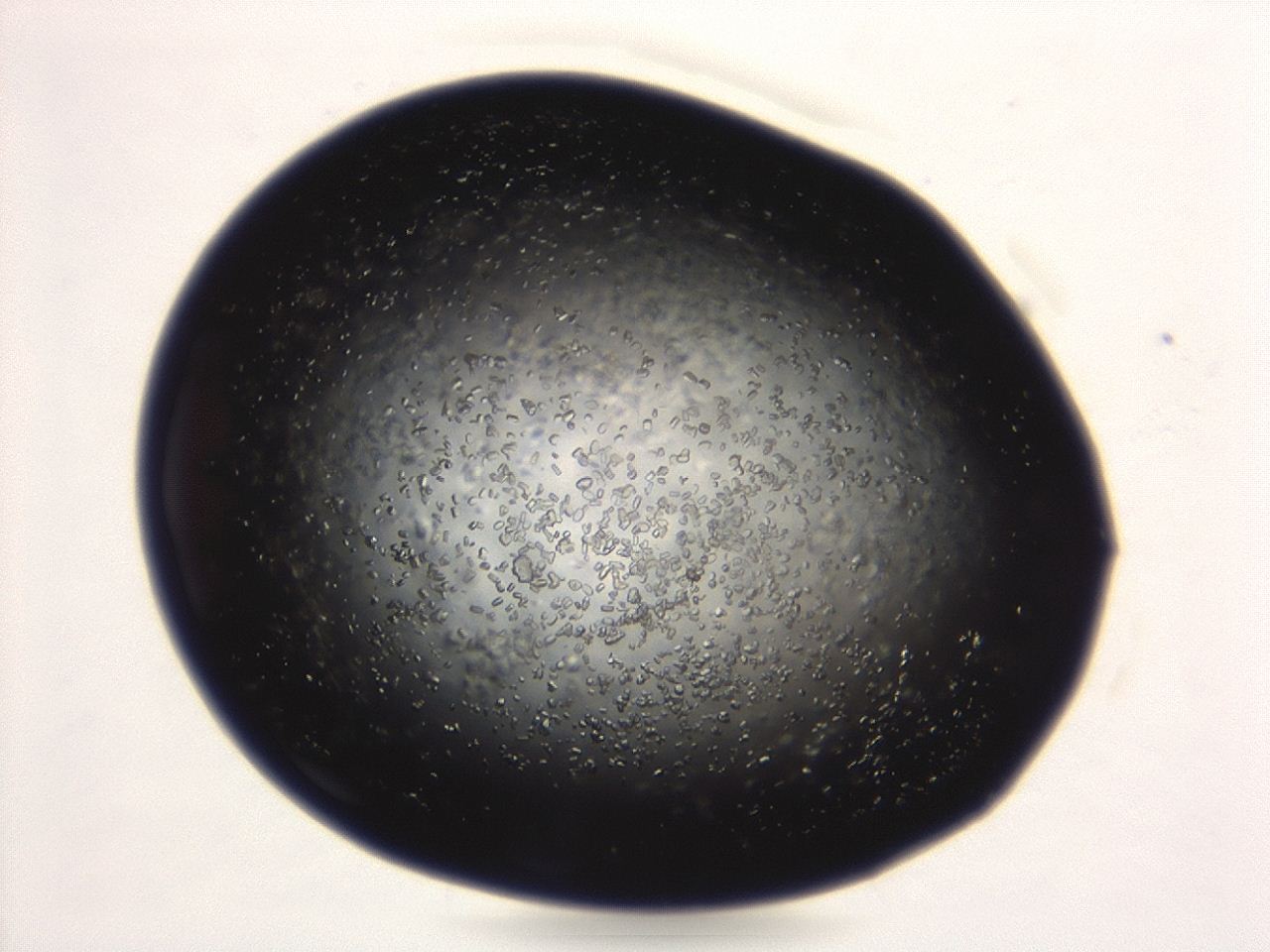 04eo_A6_ImagerDefaults_8.jpg