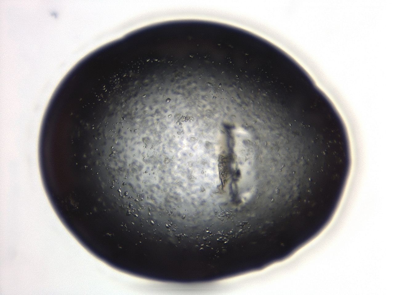 04eo_A7_ImagerDefaults_8.jpg