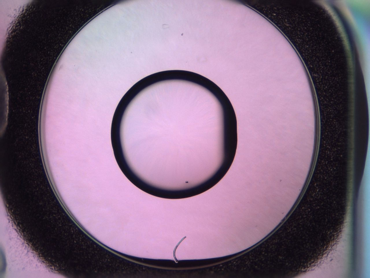 0170_D8_ImagerDefaults_0.jpg