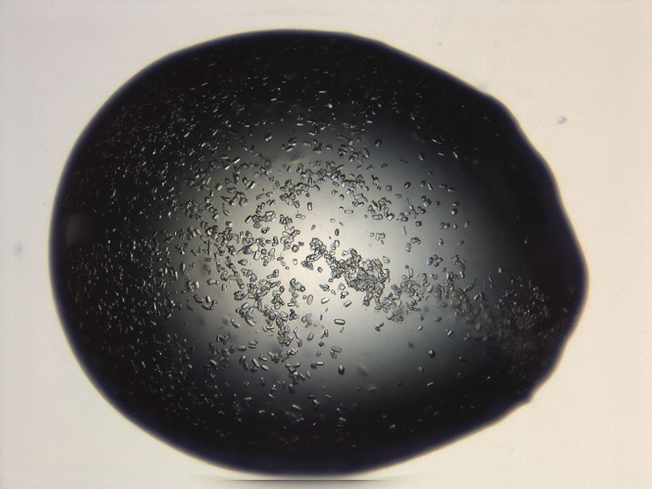 04eo_B2_ImagerDefaults_8.jpg
