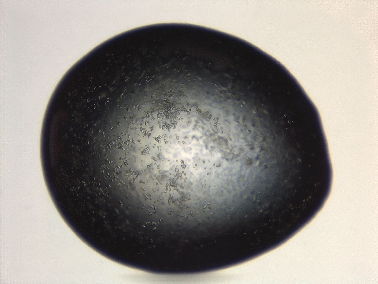 04eo_B3_ImagerDefaults_8.jpg