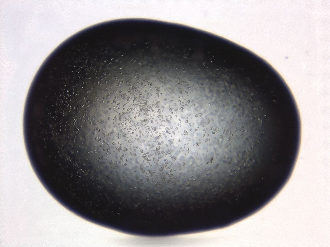 04eo_B5_ImagerDefaults_8.jpg