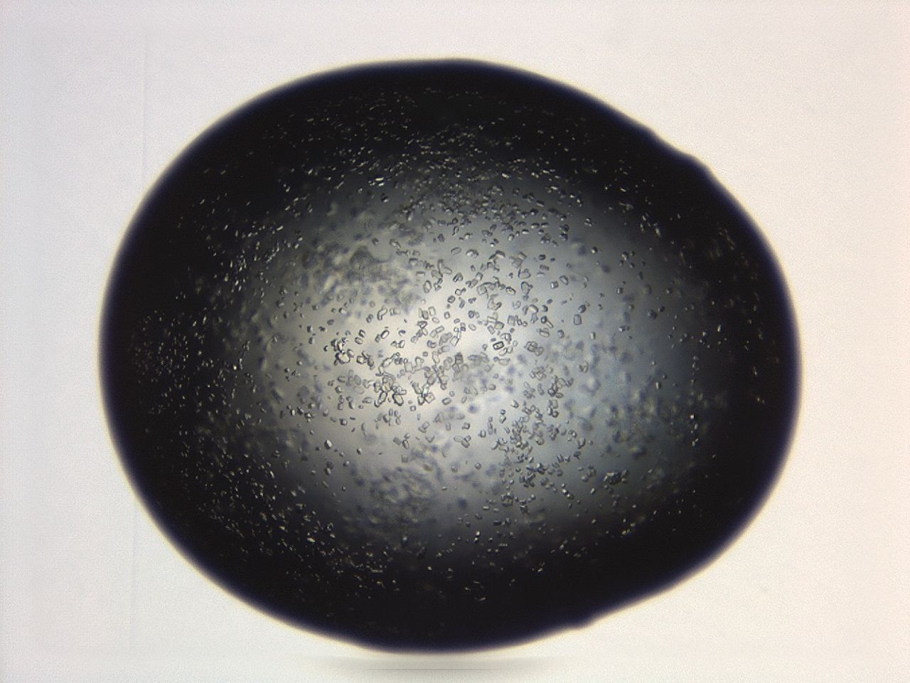 04eo_B6_ImagerDefaults_8.jpg