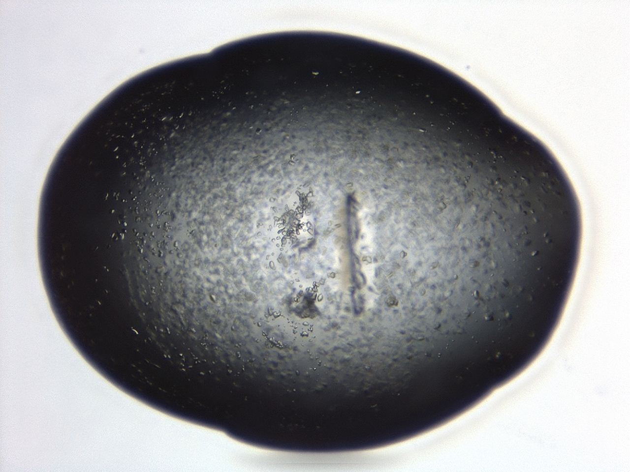 04eo_B7_ImagerDefaults_8.jpg