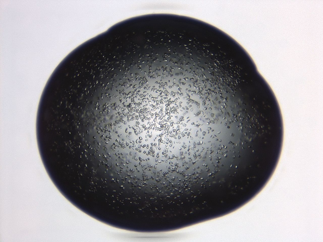 04eo_B8_ImagerDefaults_8.jpg