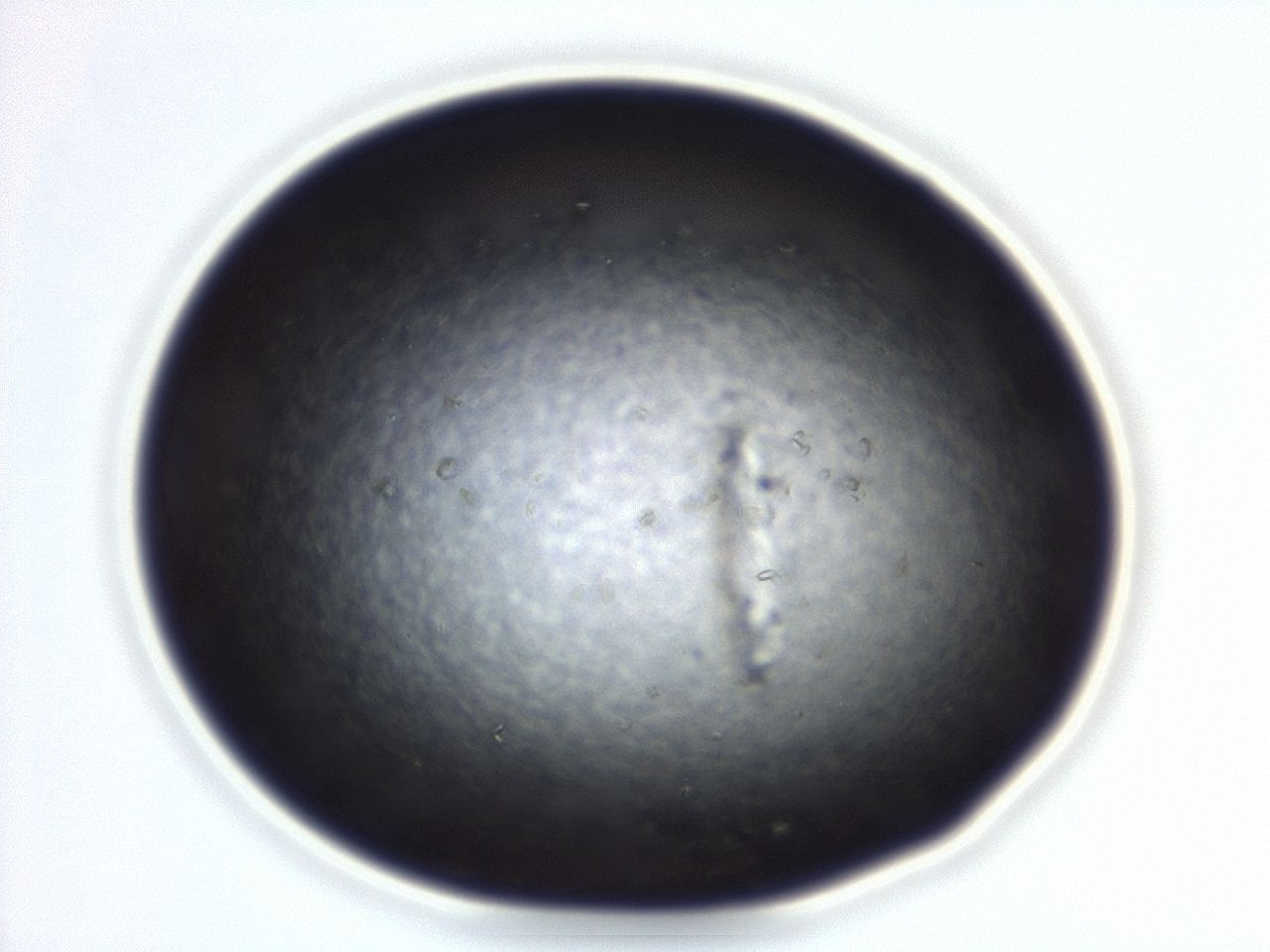 04eo_C1_ImagerDefaults_8.jpg