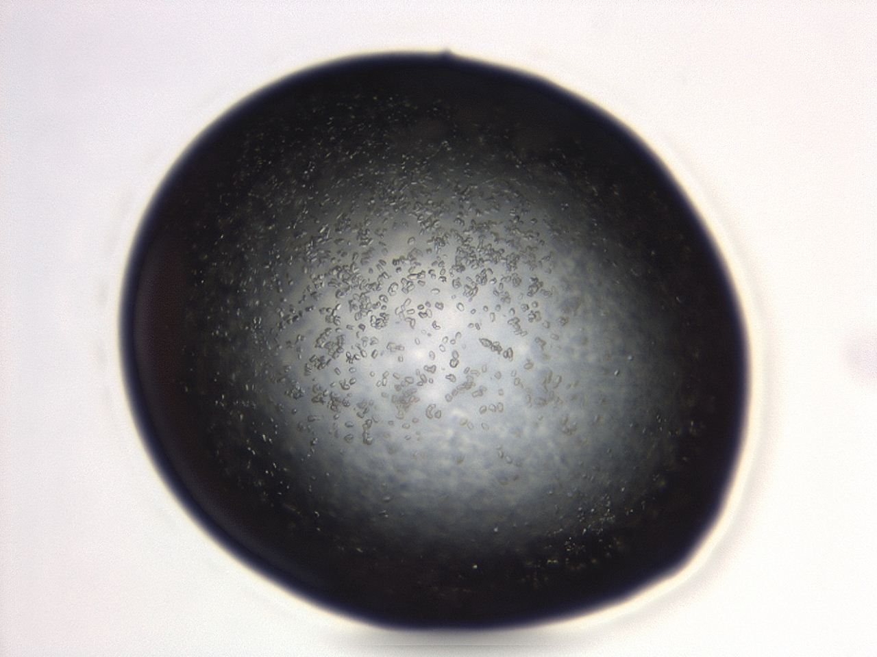 04eo_C3_ImagerDefaults_8.jpg