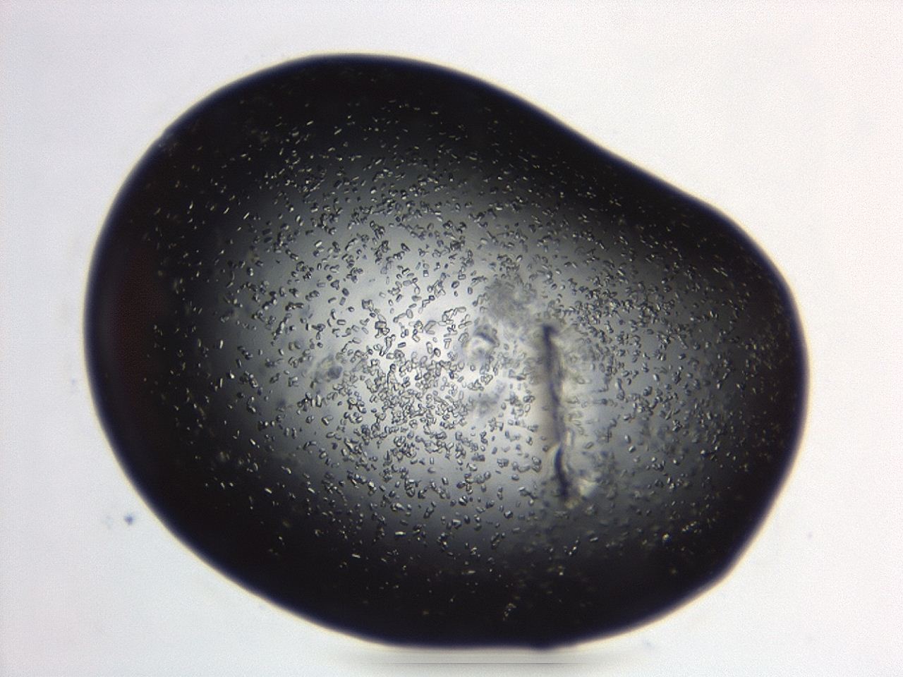 04eo_C7_ImagerDefaults_8.jpg