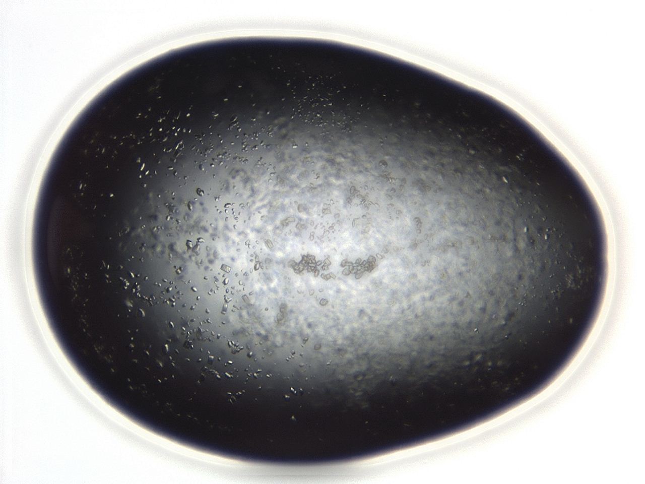04eo_C8_ImagerDefaults_8.jpg